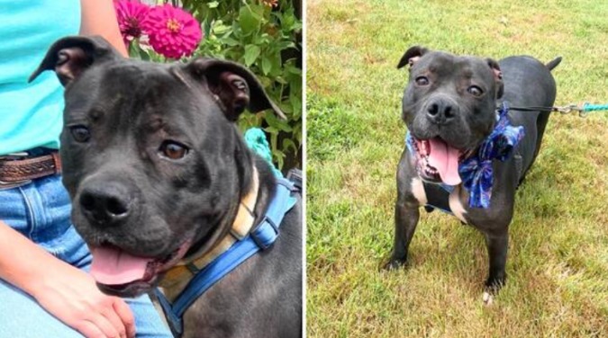 Imprisoned in a Closet, Now Free to Play: Star Bright’s Journey to Trust