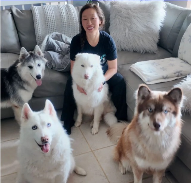 Trauma Gives Way to Trust: Meet the Trainer Who Gets Anxious Dogs