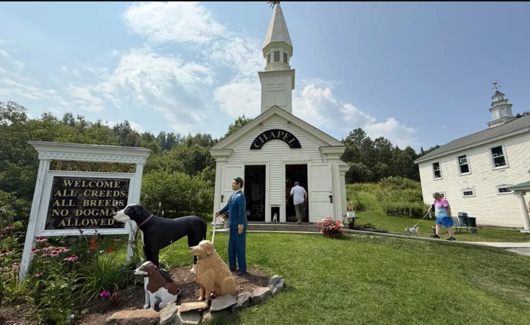 How a Folk Artist Built a Dog Temple That’s Now a Sanctuary for the Soul