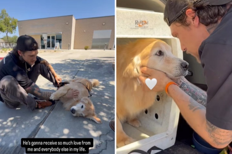 When a Veteran Went to Adopt a Senior Dog, Fate Had Other Plans