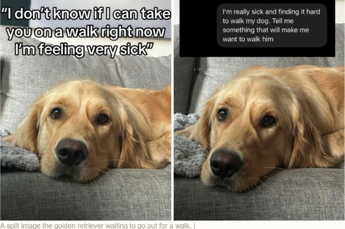 She Was Too Sick to Walk—but a Message From Her Dog Lit a Fire