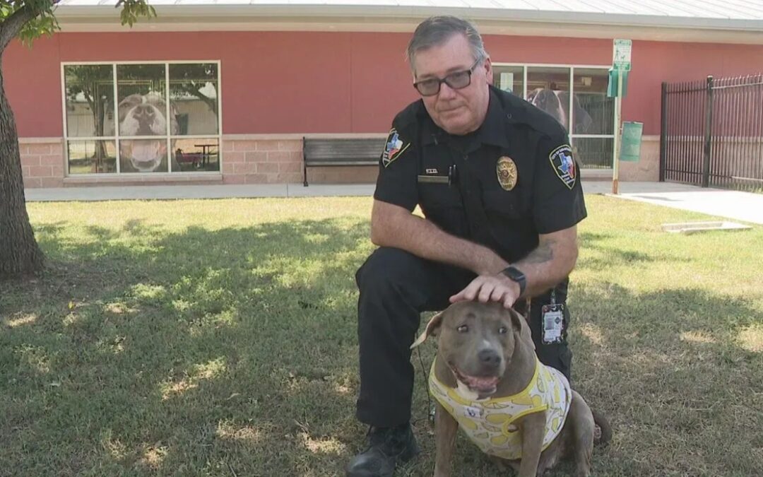 Daffodil’s Full Circle Reunion: From the Brink to Beloved