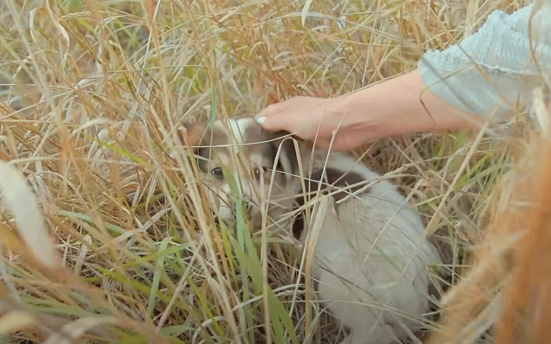 He Clung to Her Arm and Begged, ‘Don’t Leave Me Here!