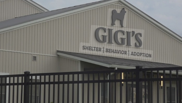 Parvo’s Worst Nightmare: Canal Winchester Clinic Saves 95% of Sick Puppies