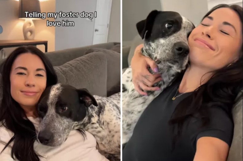 ‘I Love You’ Echoes Back in the Sweetest Way from a Rescue Pup