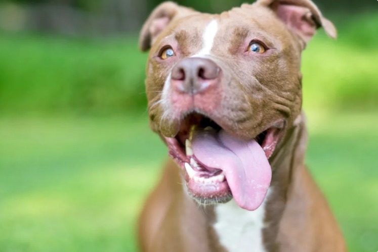 Lux’s Long Road to Love… Two Years Later, A Happy Ending