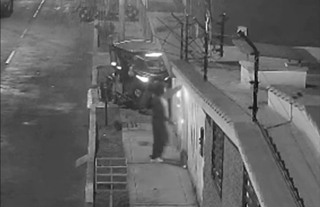 Small Dog, Massive Courage: Manchis Snuffs Out Dynamite in Family’s Yard