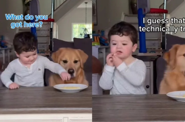 Snack Time Shenanigans: When a Toddler and His Pup Outsmart Mom
