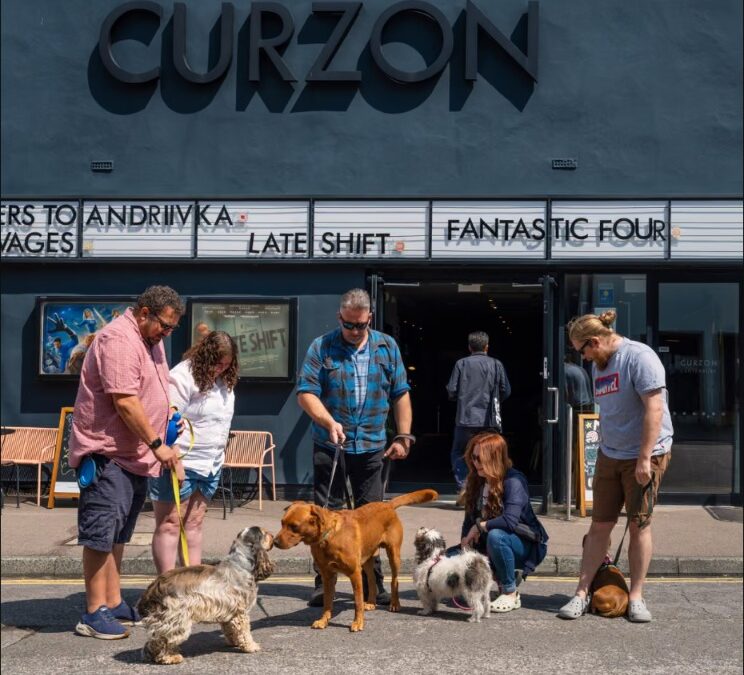 When Dogs Hit the Big Screen: Cinema Nights Made for Pets and People
