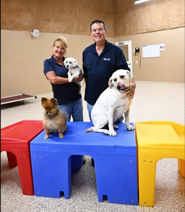 How One “Ghost Dog” Found Her Forever Home