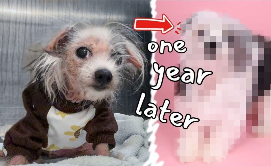 Sisters Separated by Neglect, Brought Back Together by Love