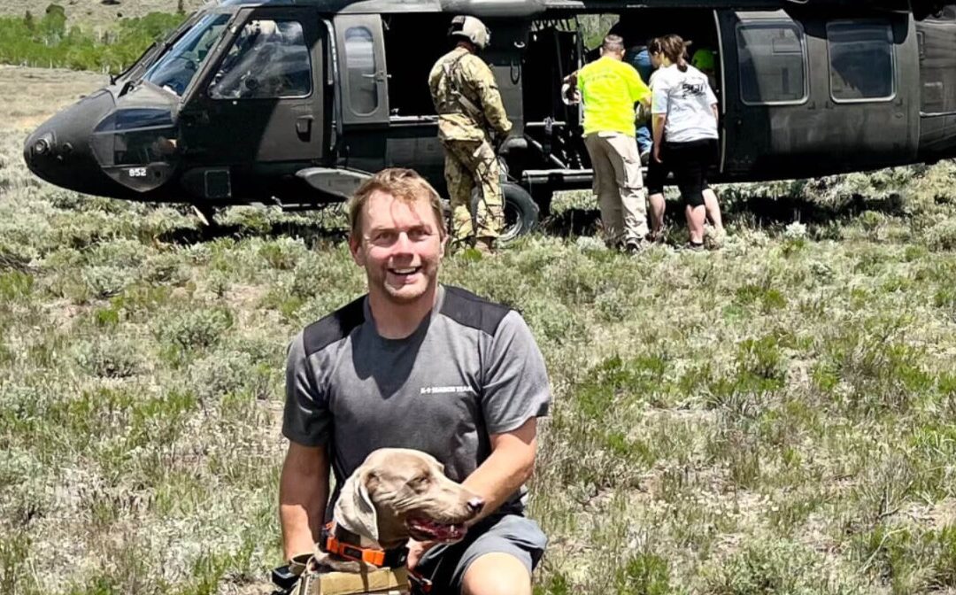 How Consistent Care Turned an Abandoned Dog into a Lifesaver