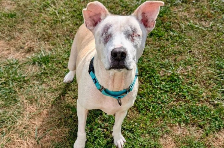 They Called Him ‘Hot Mess’ — Then They Saw What He Can Do