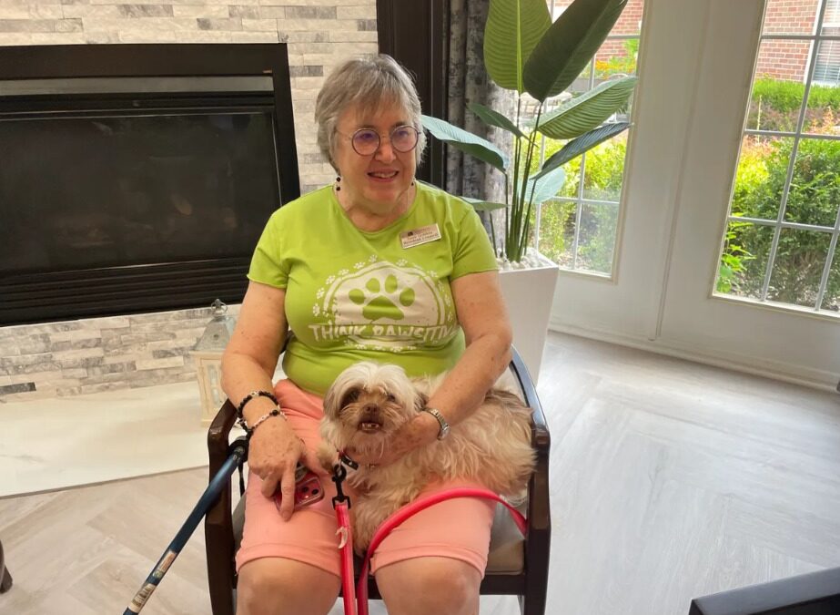 The Perfect Pair: How Senior Dogs and Senior Citizens Are Rescuing Each Other