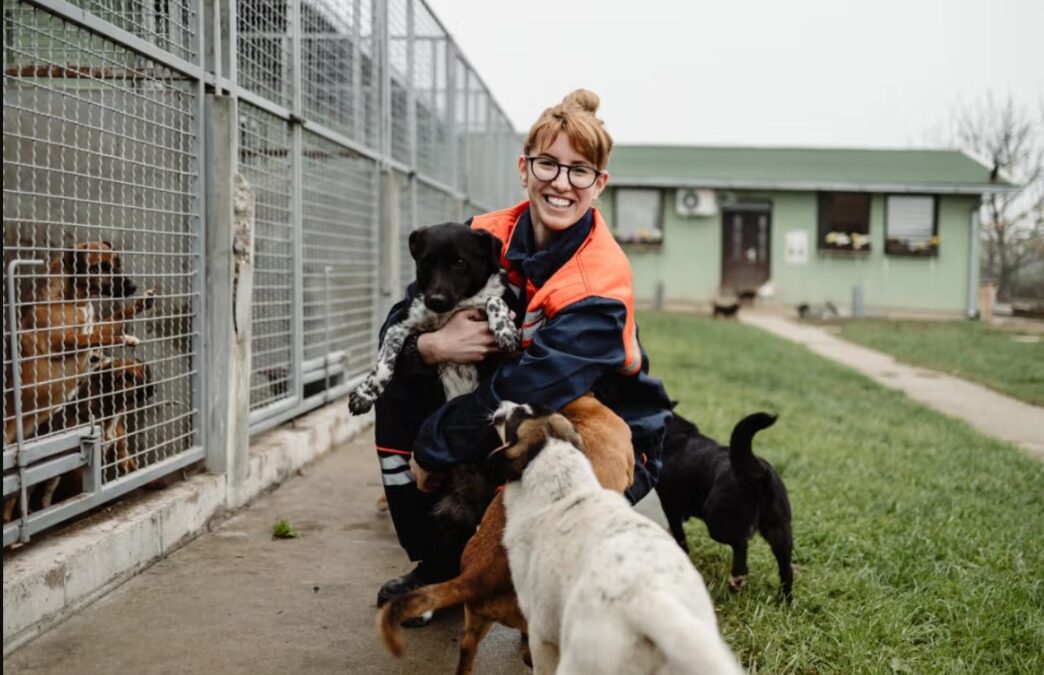 Four Feet, Warm Hearts & Health Perks: Why Volunteering with Animals Is So Good for You