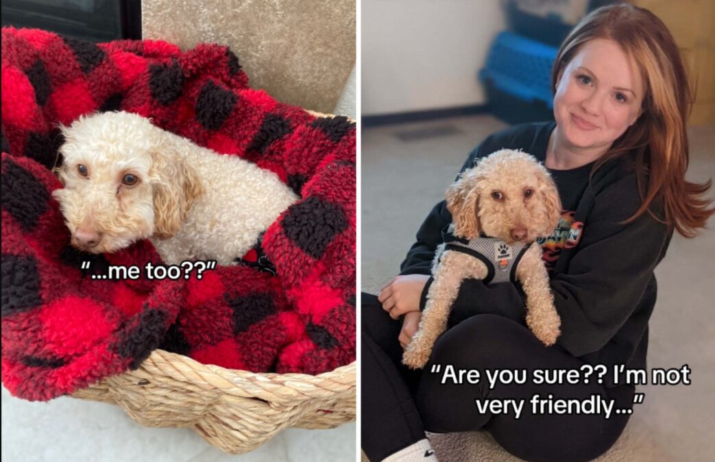 Unfriendly Dog Gets One Chance — Finds a Forever Home
