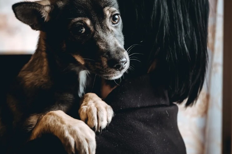 Ignored in the Kennel, But Not Anymore: Wren’s Breakthrough Moment