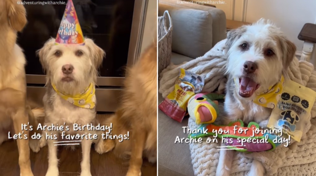 He Was Once Forgotten — Now His 7th Birthday Was in the Spotlight
