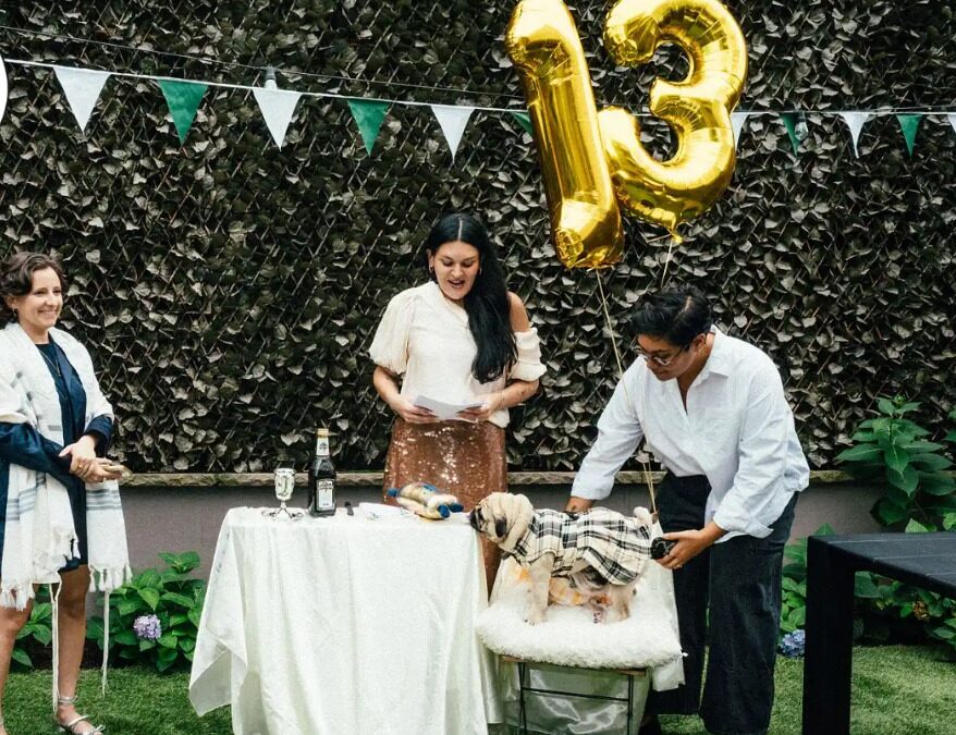 When your dog turns 13 and you go full party mode—meet the Bark Mitzvah of the year