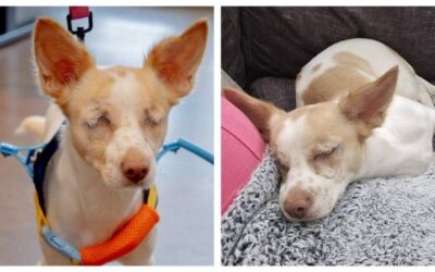 She Can’t See You — But She’ll Melt Your Heart