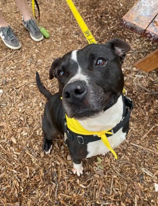 Ignored for a Year + , Returned After a Week — But He Never Stopped Hoping