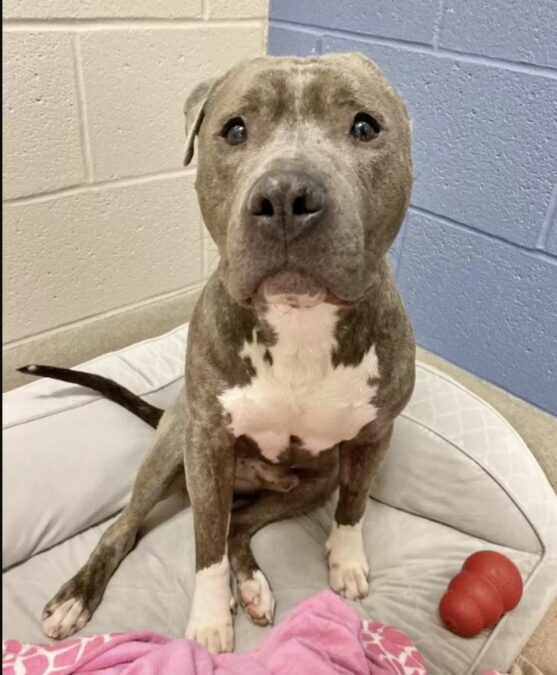 He Saw His Scar in a Toy — And Fell In Love With Himself