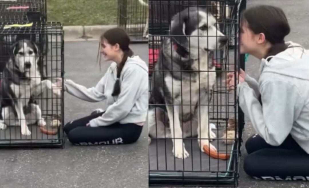 She Couldn’t Stop Talking About Him — So They Went Back