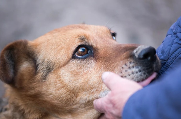 From Six Years of Waiting… to One Smile That Changed Everything