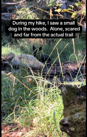 Lost in the Woods — Then a Stranger’s Kindness Gave Him a Home