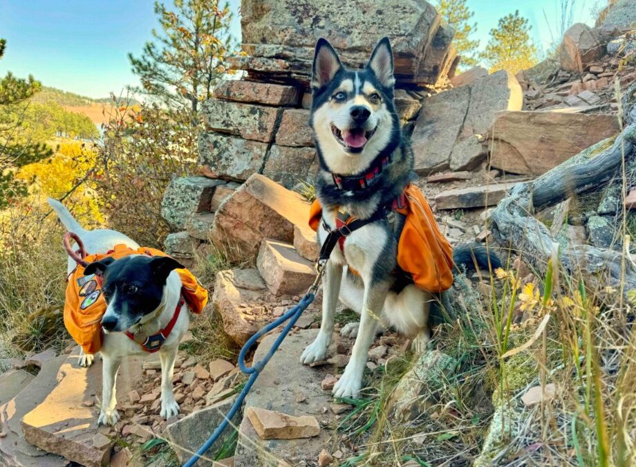 Walk with Spirits: Dog-Friendly Spooky Hikes You’ll Remember