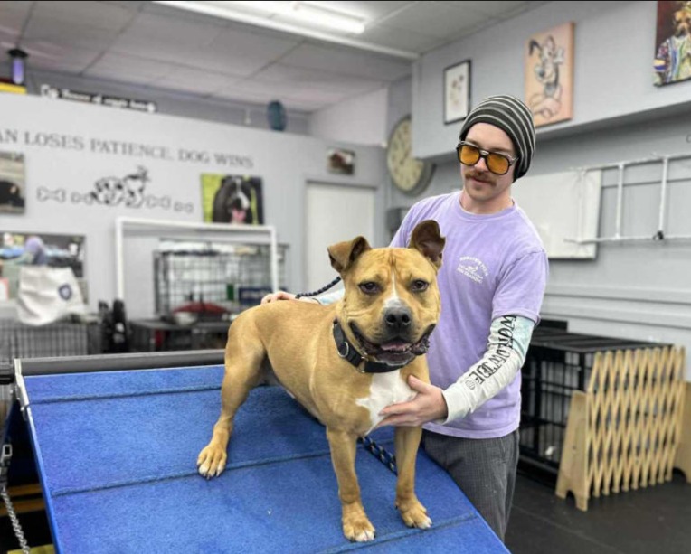 Not a Mistake. Just Preparation. The Dog Who Came Back Stronger