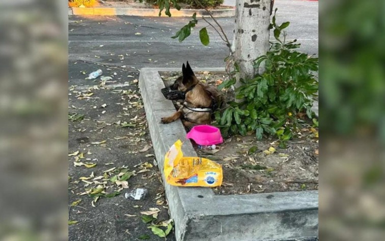 Melody’s Second Chance: When Love Rewrites the Script