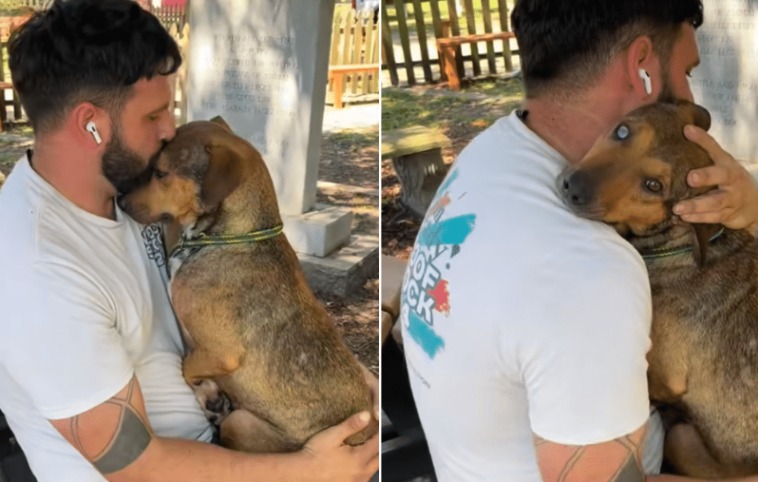 Cloudy Eye, Strong Heart: Why They Returned Kennedy (But She Still Hopes)