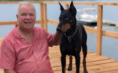 One Dog. One Bear. One Story You’ll Never Forget.