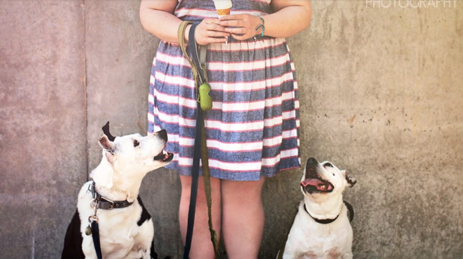 How to Plan a Dog Photo Shoot That Isn’t a Disaster (Yes, It’s Possible)