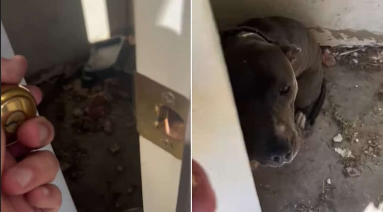 Locked in Darkness, Starving and Scared — Then a Deputy Saved Her Life