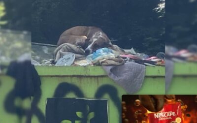 Dumped for One Mistake… Saved by Love