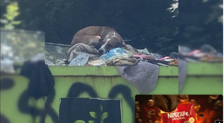 Dumped for One Mistake… Saved by Love