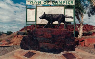 The Red Dog of Pilbara — The Legend Who Roamed a Land, Not a Yard