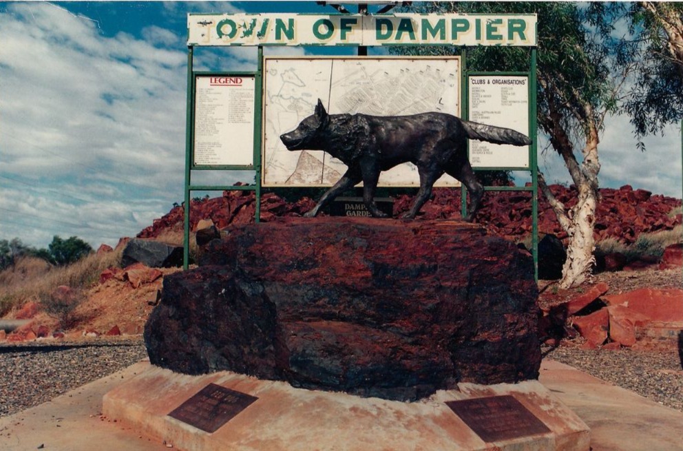 The Red Dog of Pilbara — The Legend Who Roamed a Land, Not a Yard