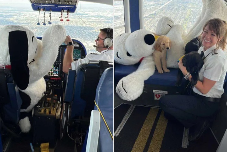 Up, Up, and Away: Service Dog Puppies Celebrate Their Training Kick-Off with Snoopy and the Blimp!