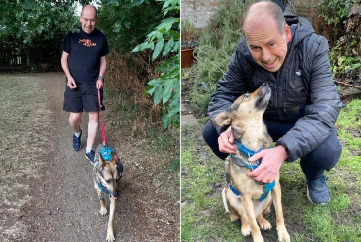 Hidden Behind the Sofa for Months — Until She Helped Her Owner Walk Again