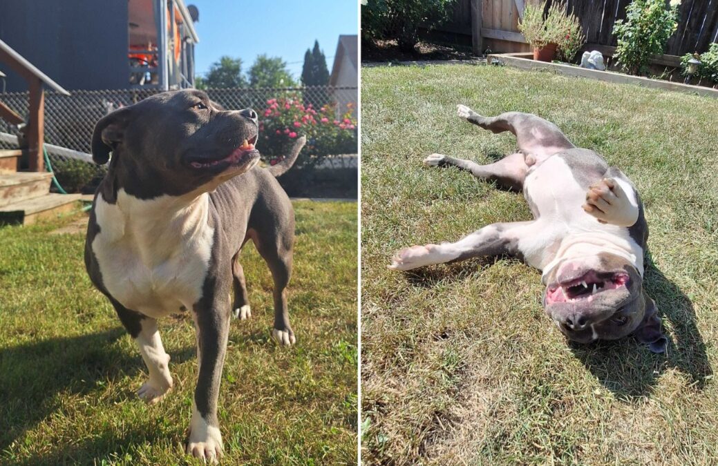 Police Open a U-Haul… You Won’t Believe What’s Inside