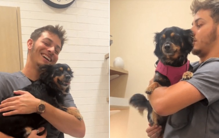 Vet Crush! The Tiny Dachshund Mix Who Fell Head-Over-Paws for Her Nurse