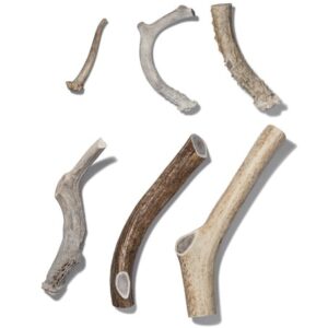 Natural Antlers Chews for Dogs