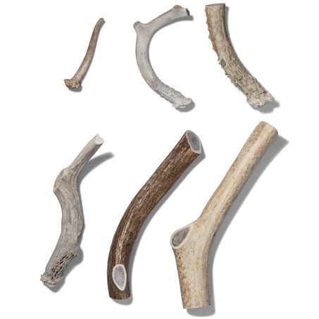 Natural Antlers Chews for Dogs