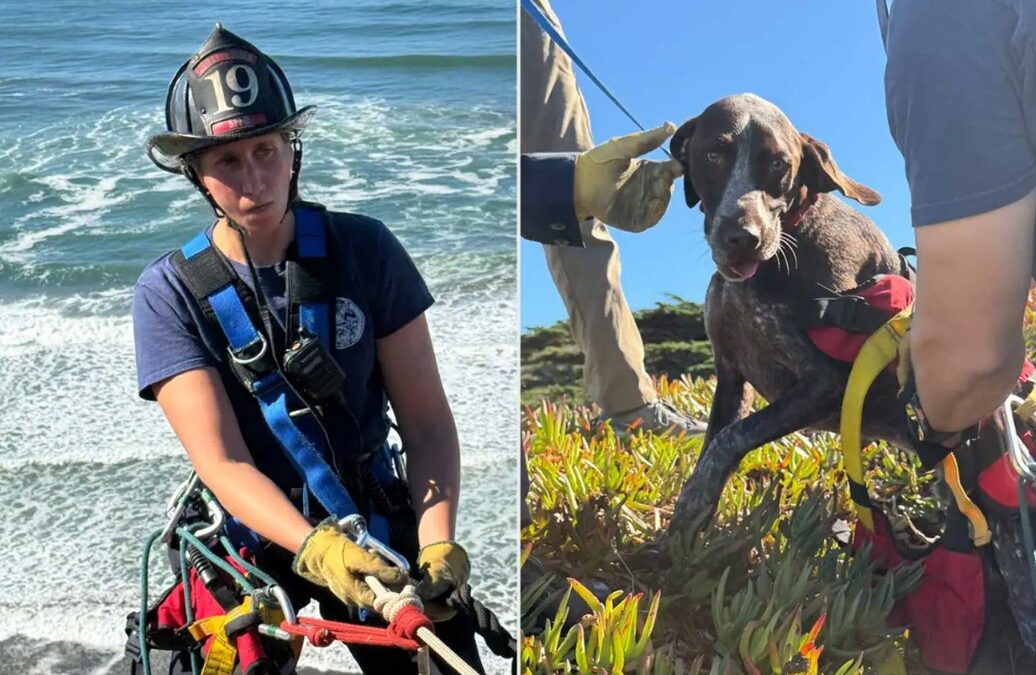 Lost on a Ledge — Then Rescue Changed Everything
