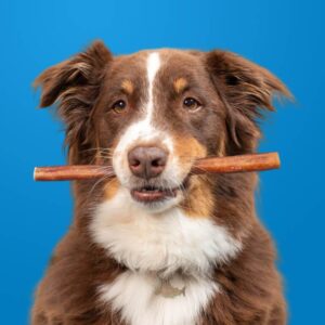 Pet Expertise Beef Collagen Sticks