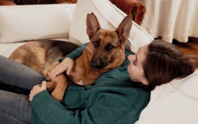 Creating a Safe Environment for Your Dog: A Complete Guide