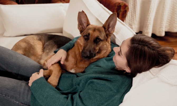 Creating a Safe Environment for Your Dog: A Complete Guide